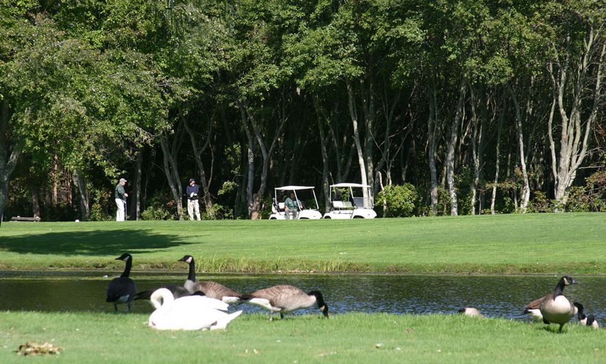 Swan Lake Golf Club