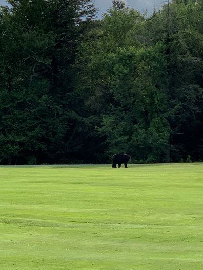 Colonial Country Club