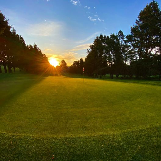 Manzanita Links