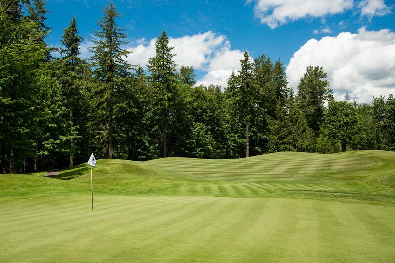 The Plateau Club