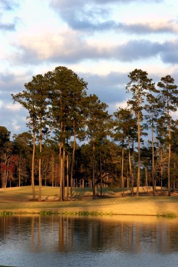 Carter Plantation
