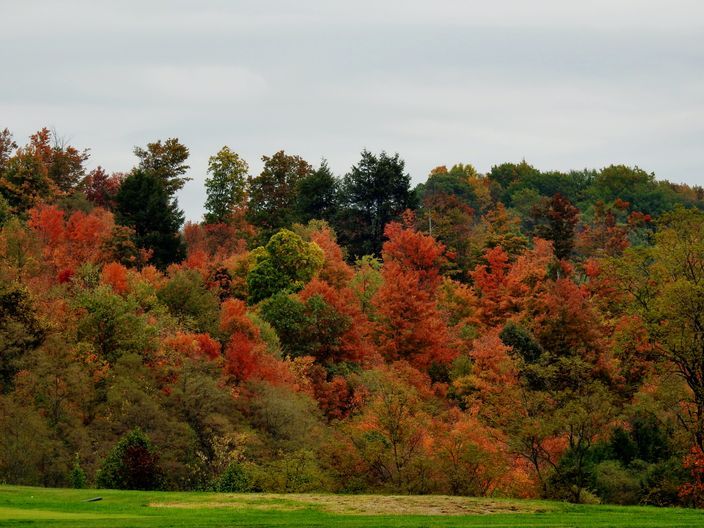 Eagles Ridge Golf Course