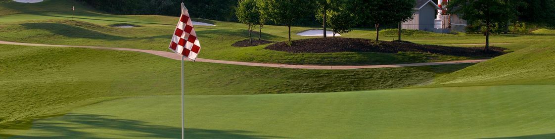 Steel Canyon Golf Club