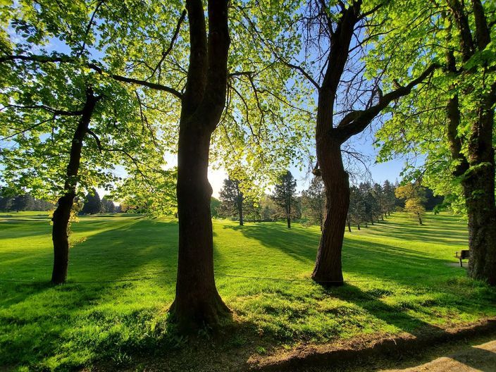 Rose City Golf Club