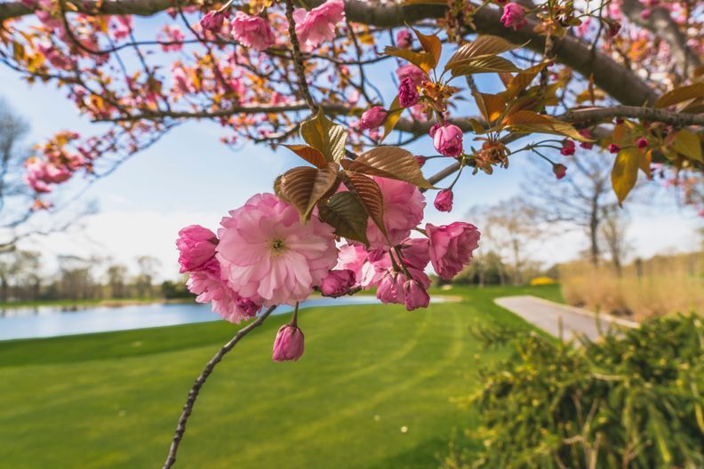 Rock Spring Golf Club at West Orange
