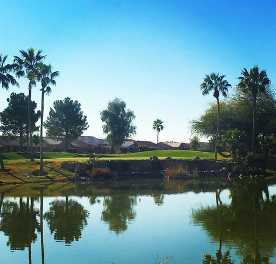 Springfield Golf Resort
