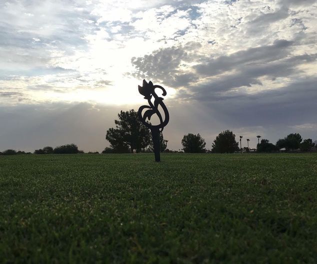Springfield Golf Resort