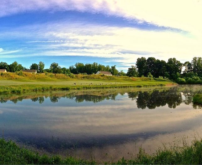 Meadows Farms & Somerset Farms