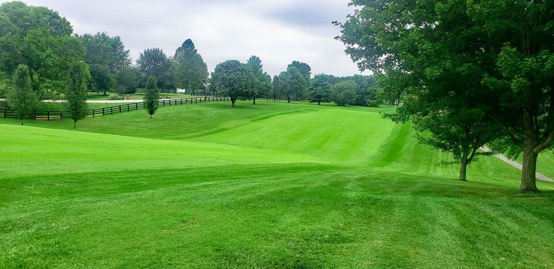 The Woodford Club
