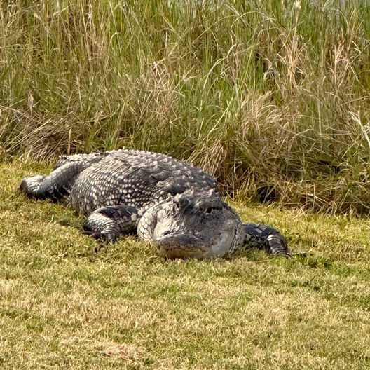 Highlands Ridge Golf Club
