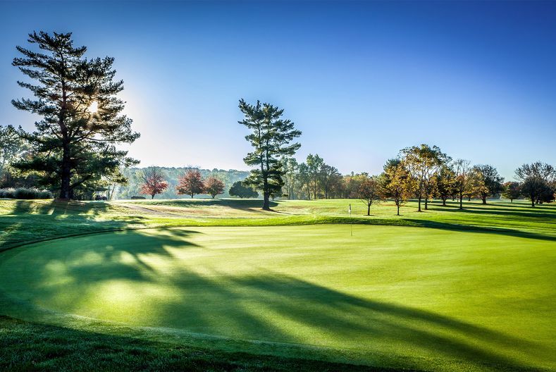 MCG Golf