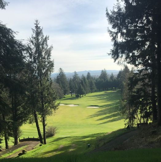 The Mook at Alderbrook