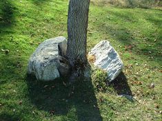 Split Rock Golf Club