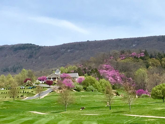 Packsaddle Ridge Golf Club