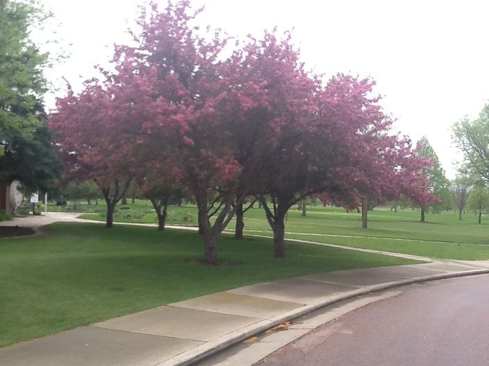 Edgebrook Golf Course